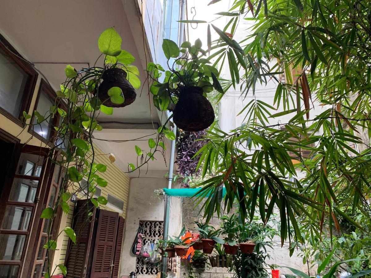 哈罗湾民宿 下龍 外观 照片